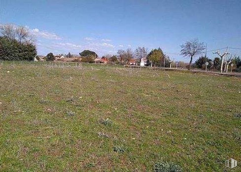 Land for sale at Paseo Estación, Humanes, Guadalajara, 19220 with sky, cloud, plant, tree, natural landscape, land lot, grassland, plain, grass and landscape around