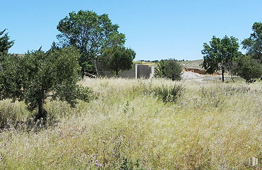 Suelo en venta en Parcela Centro El Salobrillo, 13 263, Ribatejada, Madrid, 28815 con cielo, planta, paisaje natural, árbol, lote de tierra, pastizal, llanura, paisaje, prado y hierba alrededor