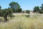 Land for sale at Parcela Centro El Salobrillo, 13 263, Ribatejada, Madrid, 28815 with sky, plant, natural landscape, tree, land lot, grassland, plain, landscape, meadow and grass around