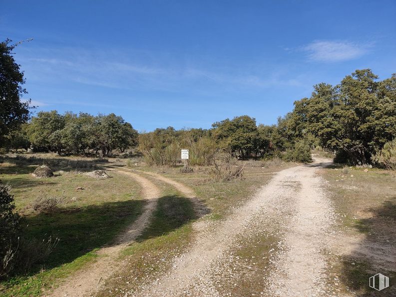 Land for sale at Cerro Ramos, s/n, Colmenar del Arroyo, Madrid, 28213 with plant, sky, cloud, natural landscape, road surface, asphalt, tree, plain, landscape and grassland around