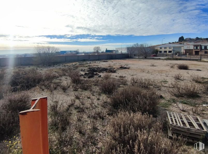 Industrial for sale at Polígono industrial Villacañas, Villacañas, Toledo, 45860 with bench, cloud, sky, plant, daytime, plant community, ecoregion, natural environment, natural landscape and land lot around