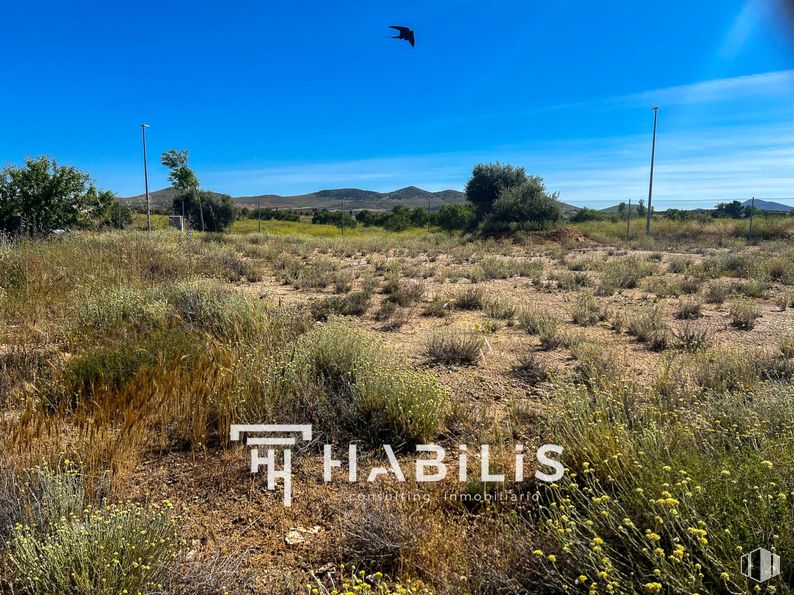 Land for sale at Núcleo residencial , Nambroca, Toledo, 45190 with sky, plant, plant community, ecoregion, cloud, natural landscape, land lot, tree, bird and vegetation around