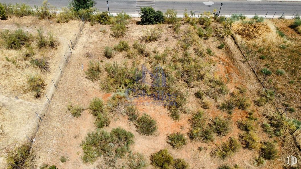 Suelo en venta en Calle Valde Hondillo, Cabanillas del Campo, Guadalajara, 19171 con planta, comunidad vegetal, ecorregión, vegetación, árbol, bioma, hierba, paisaje, paisaje natural y arbusto alrededor