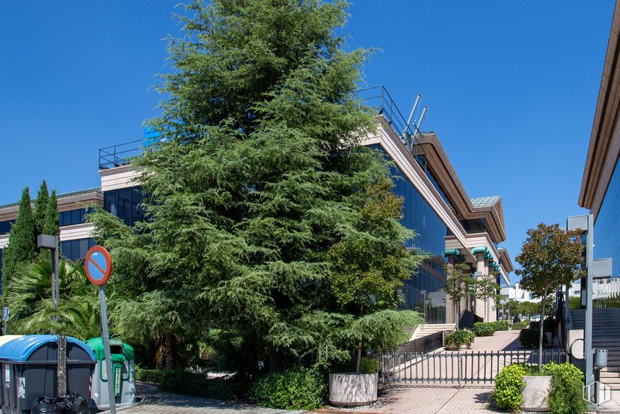 Oficina en alquiler en Atica IV, Vía Dos Castillas, 33, Pozuelo de Alarcón, Madrid, 28223 con cielo, planta, alerce, árbol, diseño urbano, perennifolio, poste, maletero, carretera y paisaje alrededor