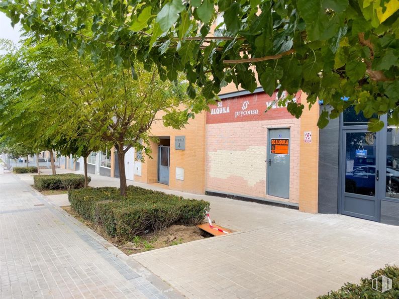 Local en alquiler en Zona Brezo, Valdemoro, Madrid, 28342 con puerta, planta, propiedad, edificio, superficie de la carretera, arquitectura, árbol, barrio, asfalto y hierba alrededor