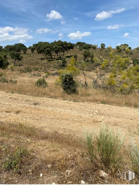 Land for sale at Zona pantano de San Juan, Navas del Rey, Madrid, 28695 with plant, sky, cloud, natural landscape, tree, mountain, grass, plain, grassland and landscape around