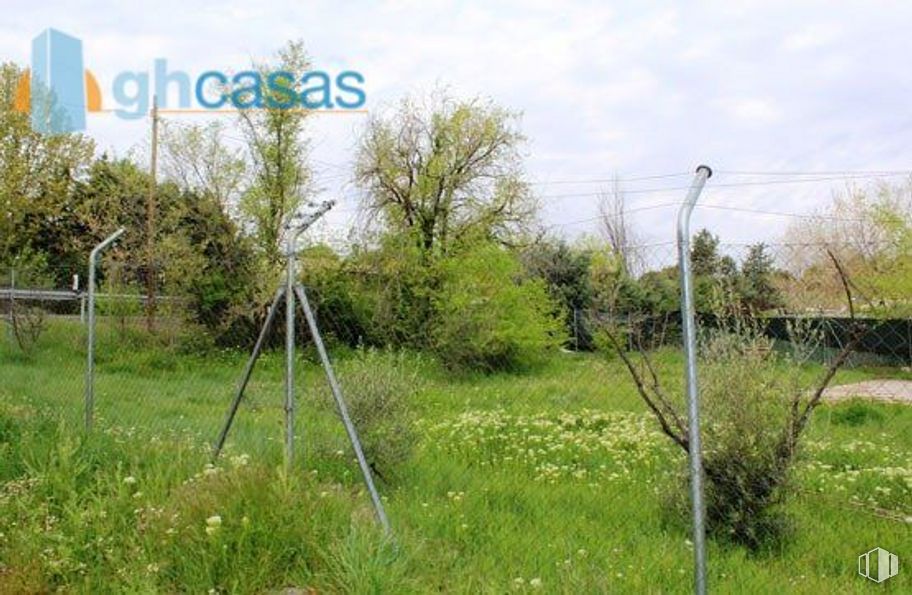 Land for sale at Calle Castillo Gormaz, Torrejón del Rey, Guadalajara, 19174 with tripod, plant, cloud, sky, natural landscape, tree, street light, land lot, vegetation and grass around