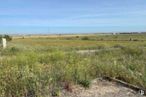 Land for sale at Calle Castaños, Numancia de la Sagra, Toledo, 45230 with sky, plant, cloud, natural landscape, land lot, grass, grassland, landscape, plain and meadow around