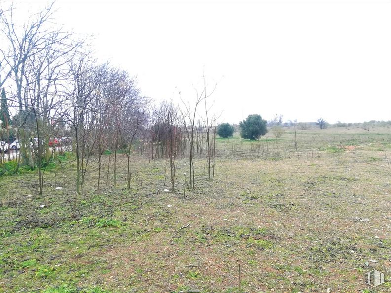 Suelo en venta en Polígono industrial El Zárate, Villarejo de Salvanés, Madrid, 28590 con planta, cielo, paisaje natural, árbol, lote de tierra, hierba, pastizal, paisaje, llanura y cobertura del suelo alrededor