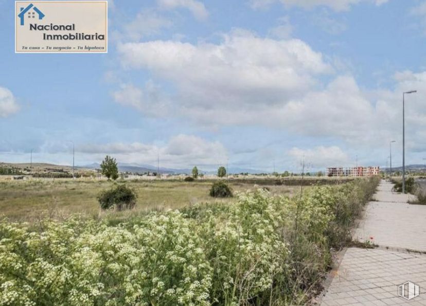 Land for sale at Calle Navaluenga, Ávila, 05002 with cloud, sky, plant, plant community, flower, natural landscape, land lot, vegetation, tree and cumulus around