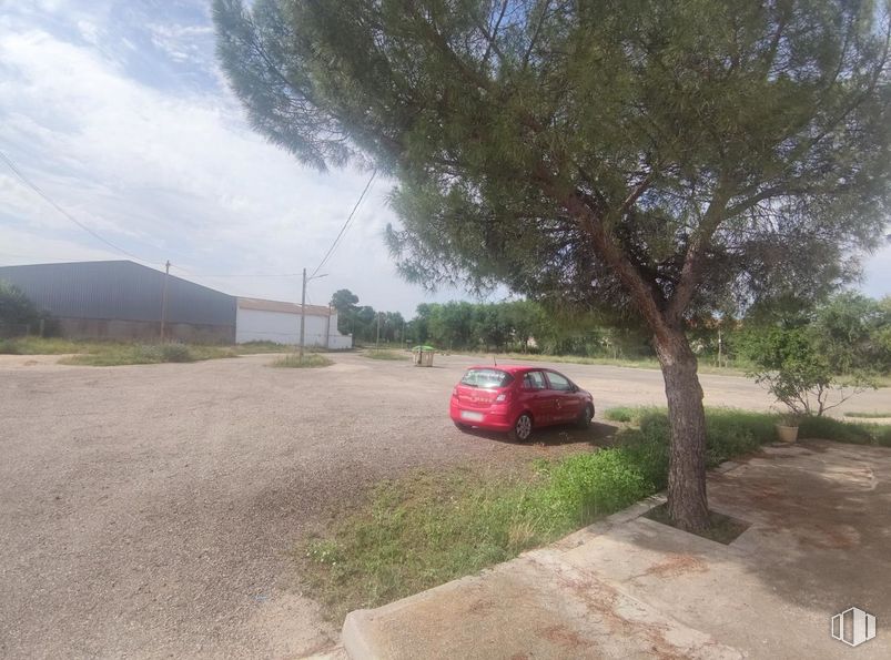 Industrial for sale at Paseo Estación, Villasequilla, Toledo, 45740 with car, plant, tire, land vehicle, vehicle, plant community, wheel, cloud, road surface and motor vehicle around