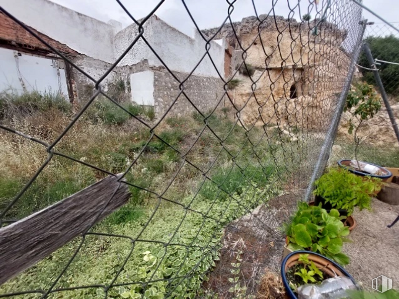 Land for sale at Travesía Castillejo, 15, Los Santos de la Humosa, Madrid, 28817 with houseplant, flowerpot, plant, plant community, mesh, grass, wire fencing, biome, fence and landscape around