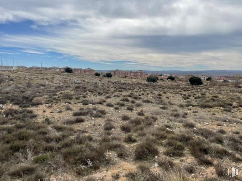 Land for sale at Zona hospital, Ávila, 05004 with animal, cloud, sky, plant community, plant, natural landscape, bedrock, grass, grassland and working animal around