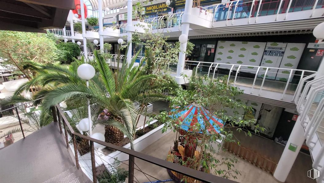 Retail for sale & for rent at Calle Comunidad de Madrid, Las Rozas de Madrid, Madrid, 28230 with plant, botany, flowerpot, architecture, urban design, vegetation, leisure, building, city and arecales around