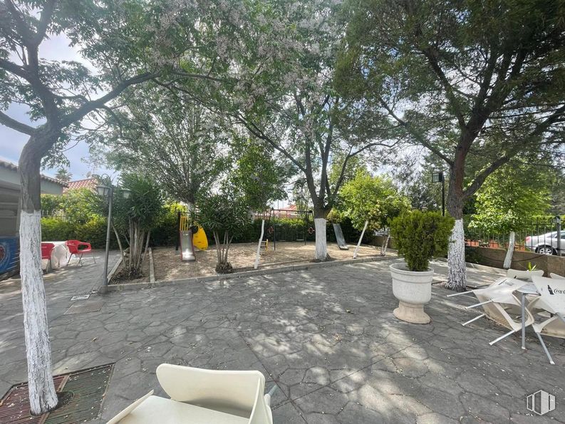 Local en venta en Calle Pizarro, 28, Huecas, Toledo, 45511 con maceta, planta de interior, propiedad, planta, árbol, sombra, superficie de la carretera, lote de terreno, edificio y asfalto alrededor