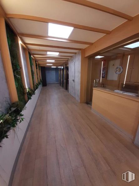 Oficina en alquiler en Calle Conde de Peñalver, 45, Salamanca, Madrid, 28006 con planta, propiedad, madera, hall, interiorismo, suelos, suelo, tinte para madera, madera dura y puerta alrededor