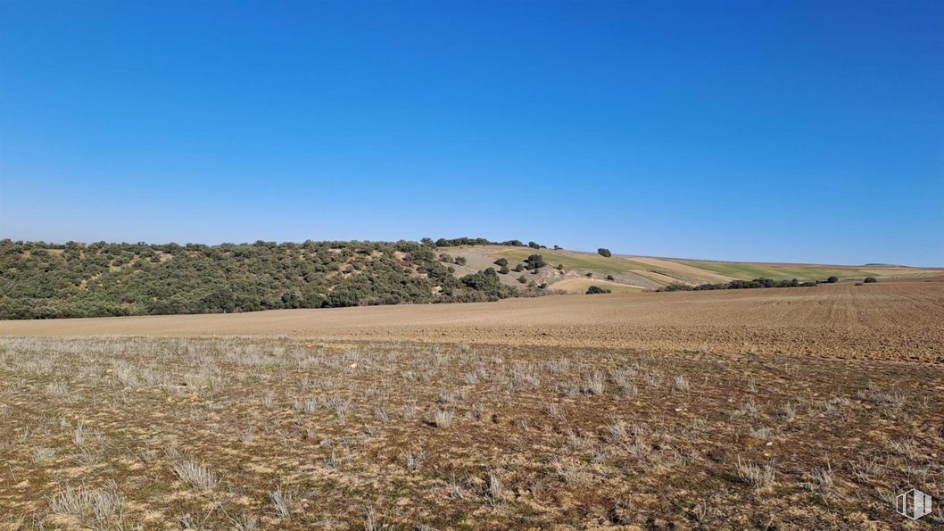 Land for sale at Zona Zamarramala, Segovia, 40196 with sky, natural landscape, tree, cloud, grass, plain, plant, grassland, landscape and grass family around