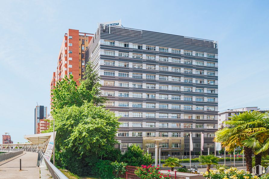 Oficina en alquiler en Edificio Euromor, Avenida Burgos, 16 D, Chamartín, Madrid, 28036 con edificio, planta, cielo, durante el día, bloque de pisos, diseño urbano, árbol, rascacielos, vegetación y condominio alrededor