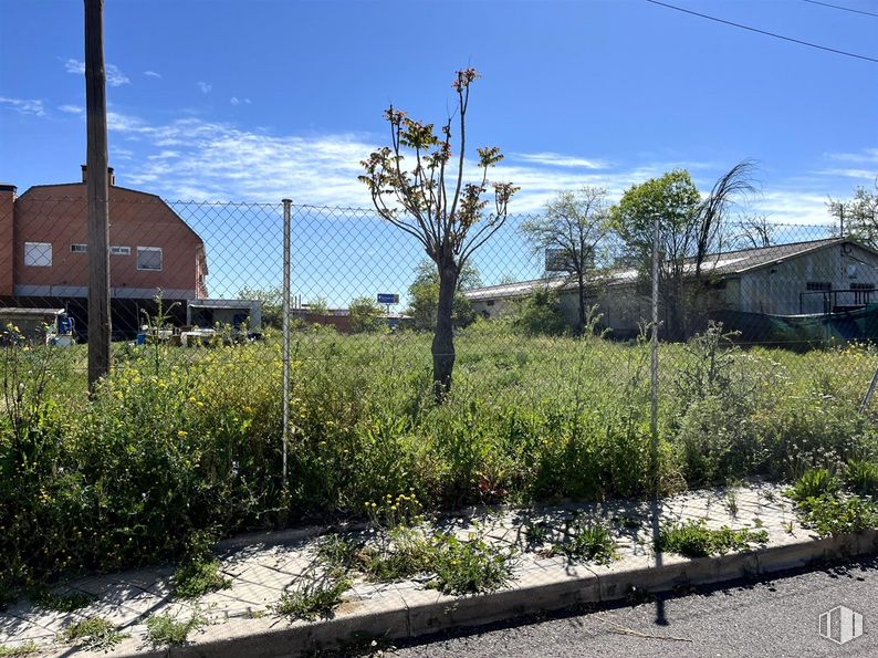 Suelo en venta en Calle Diciembre, 53 - 55, San Blas - Canillejas, Madrid, 28022 con cielo, nube, planta, superficie de la carretera, lote de terreno, hierba, árbol, paisaje natural, barrio y diseño urbano alrededor