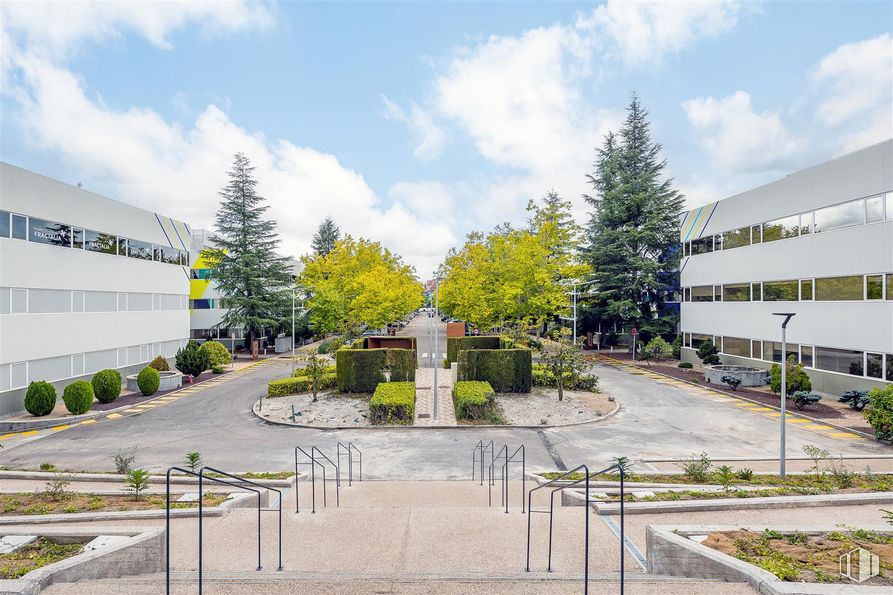 Oficina en alquiler en Ronda Poniente, 3, Tres Cantos, Madrid, 28760 con edificio, planta, nube, cielo, árbol, superficie de la carretera, lote de terreno, asfalto, diseño urbano y hierba alrededor