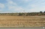 Land for sale at Carretera N-320, Quer, Guadalajara, 19209 with cloud, sky, plant, tree, natural landscape, grassland, plain, landscape, grass and road around