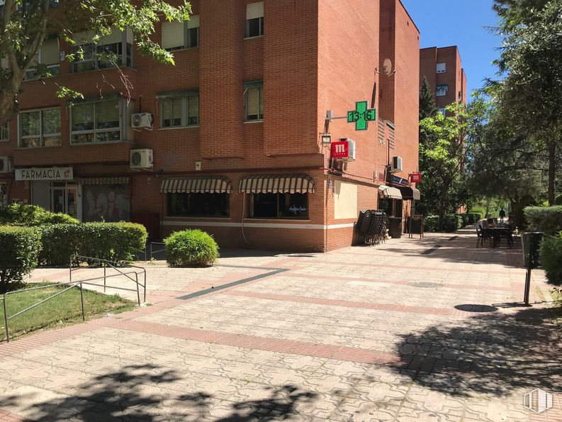 Local en alquiler en Plaza Clarín, 8, Rivas-Vaciamadrid, Madrid, 28529 con edificio, ventana, planta, día, superficie de carretera, sombra, árbol, diseño urbano, barrio y arquitectura alrededor